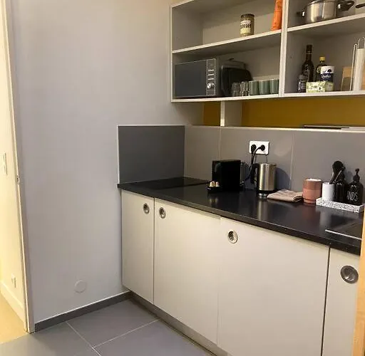 Modern Parisian Flat In Montparnasse Area