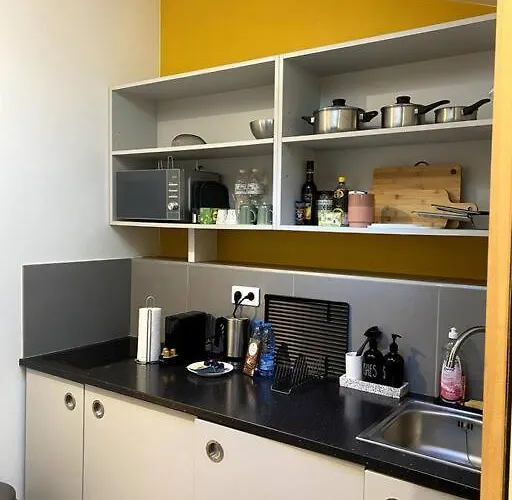 Modern Parisian Flat In Montparnasse Area *