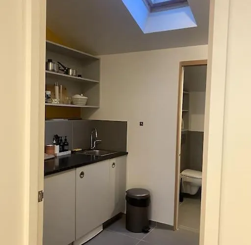 Apartamento Modern Parisian Flat In Montparnasse Area