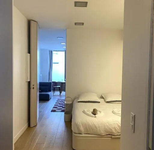 Modern Parisian Flat In Montparnasse Area París