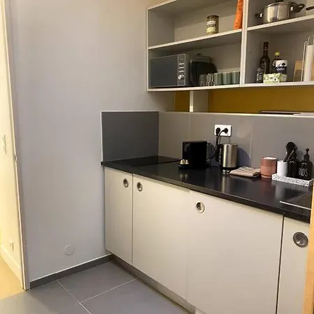 Modern Parisian Flat In Montparnasse Area